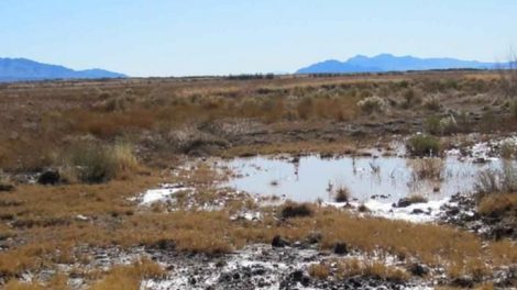 Ash Meadows National Wildlife Refuge