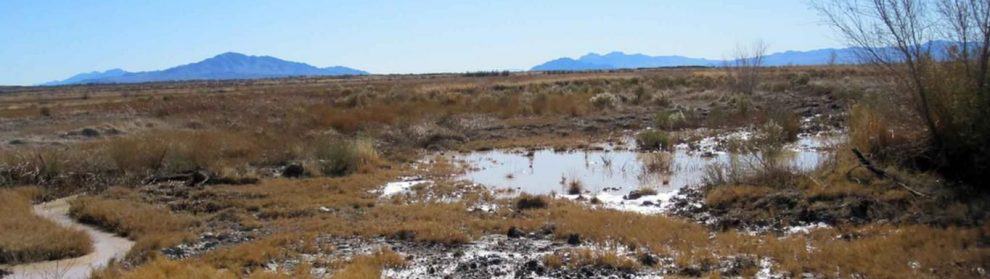 Ash Meadows National Wildlife Refuge