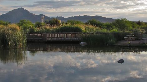 Clark County Wetlands Park