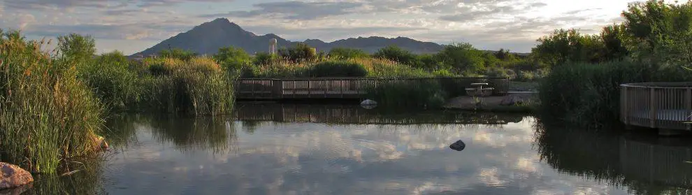 Clark County Wetlands Park