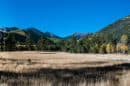 Coconino National Forest