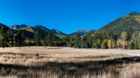 Coconino National Forest