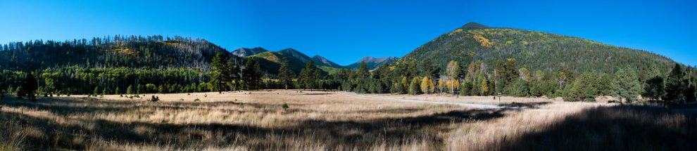 Coconino National Forest