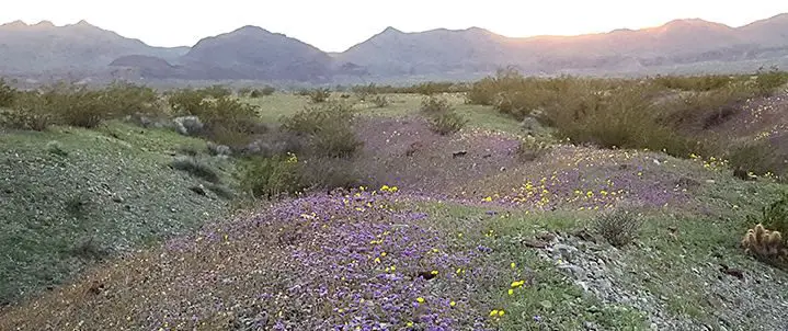 Dead Mountains Wilderness Area