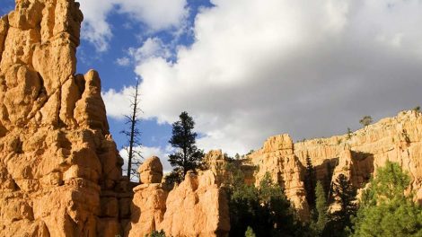 Dixie National Forest