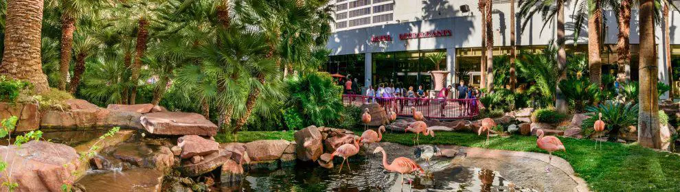 Flamingo Wildlife Habitat