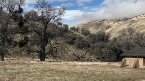 Grapevine Canyon