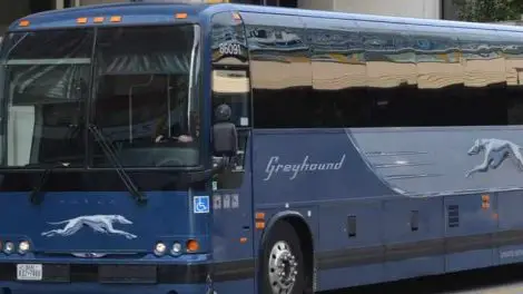 Greyhound Bus