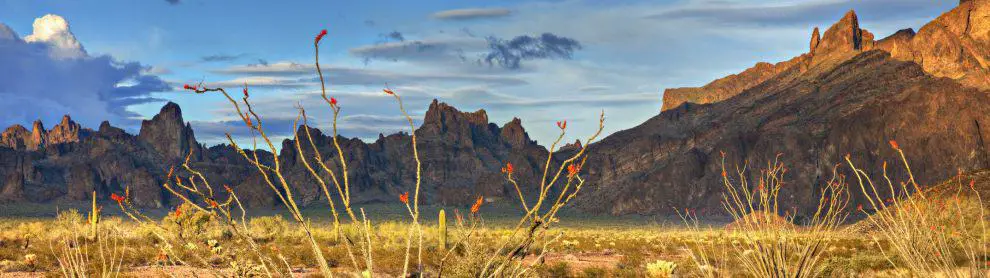 Kofa National Wildlife Refuge