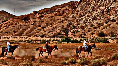 Las Vegas Horse Tours