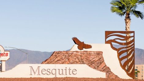 Mesquite