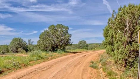 Prescott National Forest