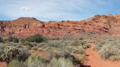 Red Cliffs National Conservation Area