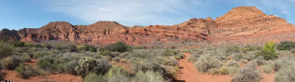 Red Cliffs National Conservation Area