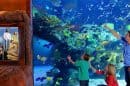 The Aquarium At The Silverton Hotel