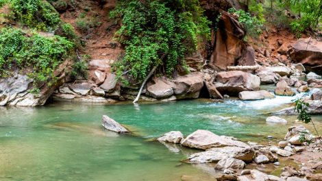 Zion Riverside Walk